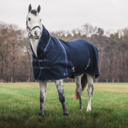 Teddy fleece deluxe - blauw