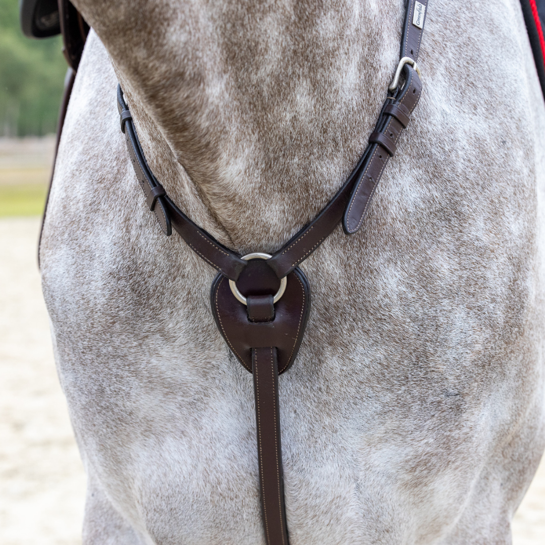 Breastplate Lyon - cow leather