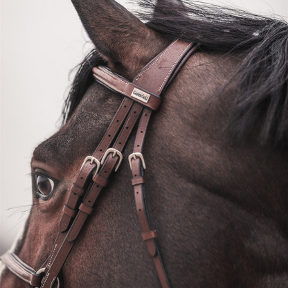 Mexico Bridle - Cow leather