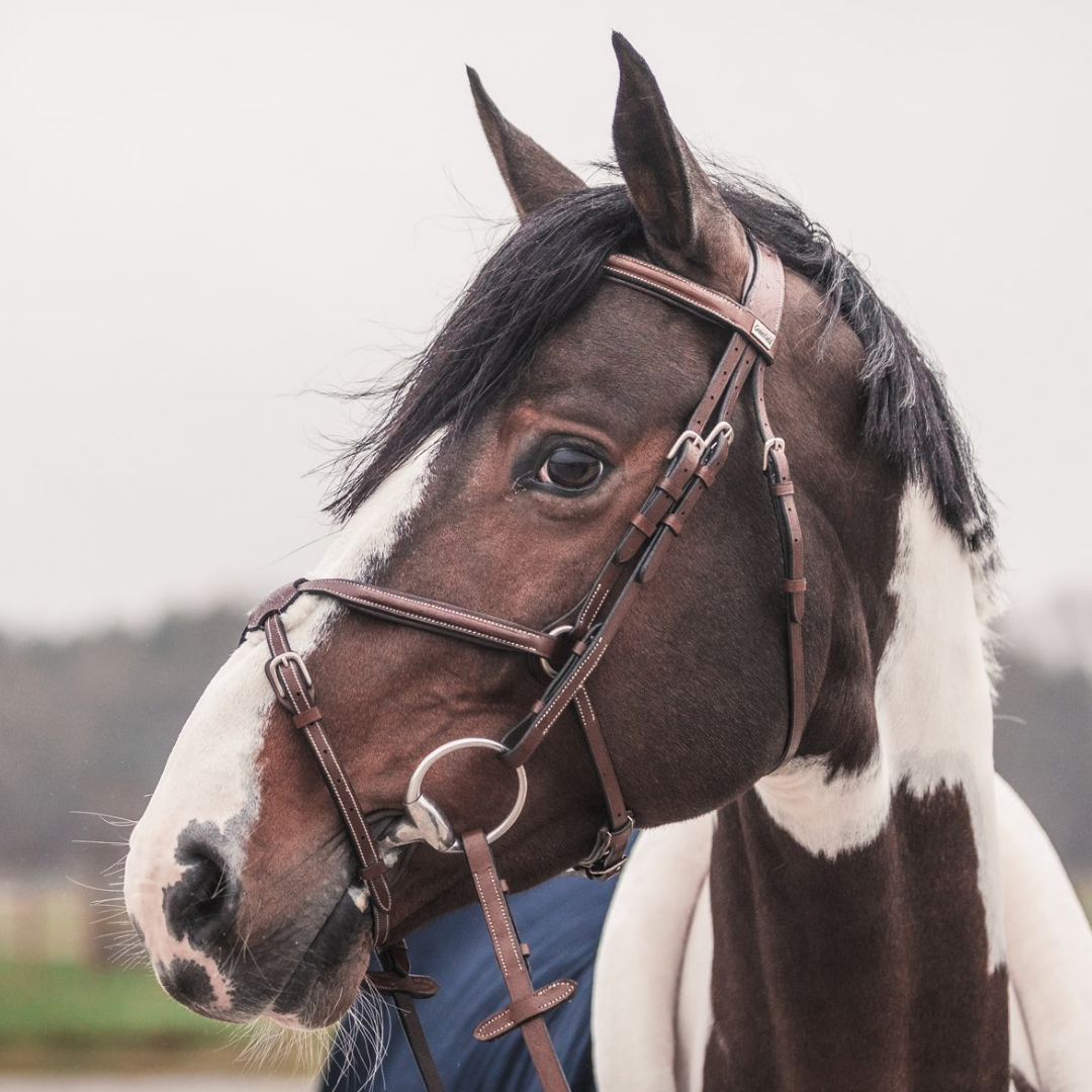 Mexico Bridle - Cow leather