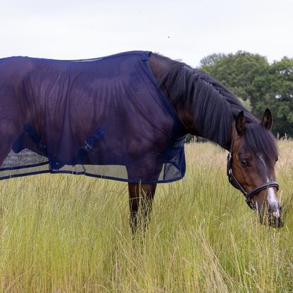 Fly sheet