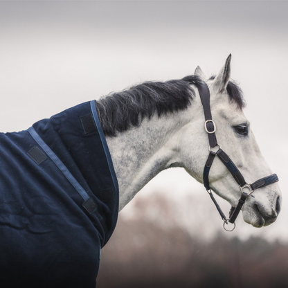 Teddy fleece deluxe - blauw