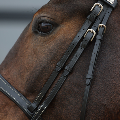 Geneva Bridle