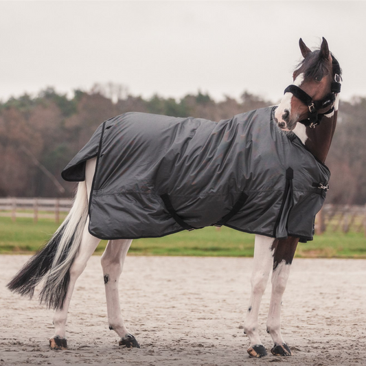 Turnout rug 400 gram - Black/grey