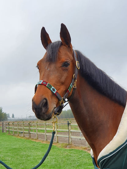 Milo Mint Halfter