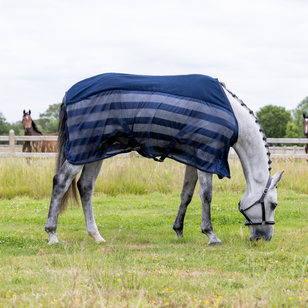 Fly Sheet Honeycomb