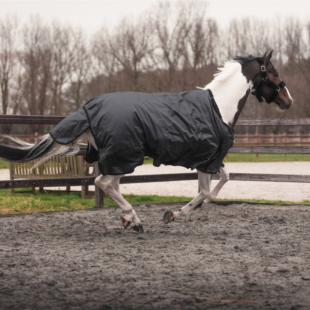 Turnout rug 400 gram - Black/grey