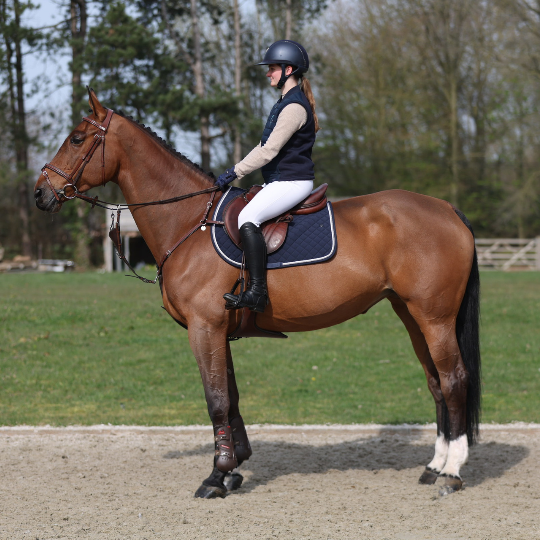Saddle pad cookie - navy/navy-white/silvergrey