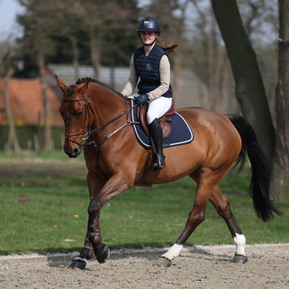 Saddle pad cookie - navy/navy-white/silvergrey