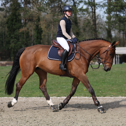 Saddle pad cookie - navy/navy-white/silvergrey