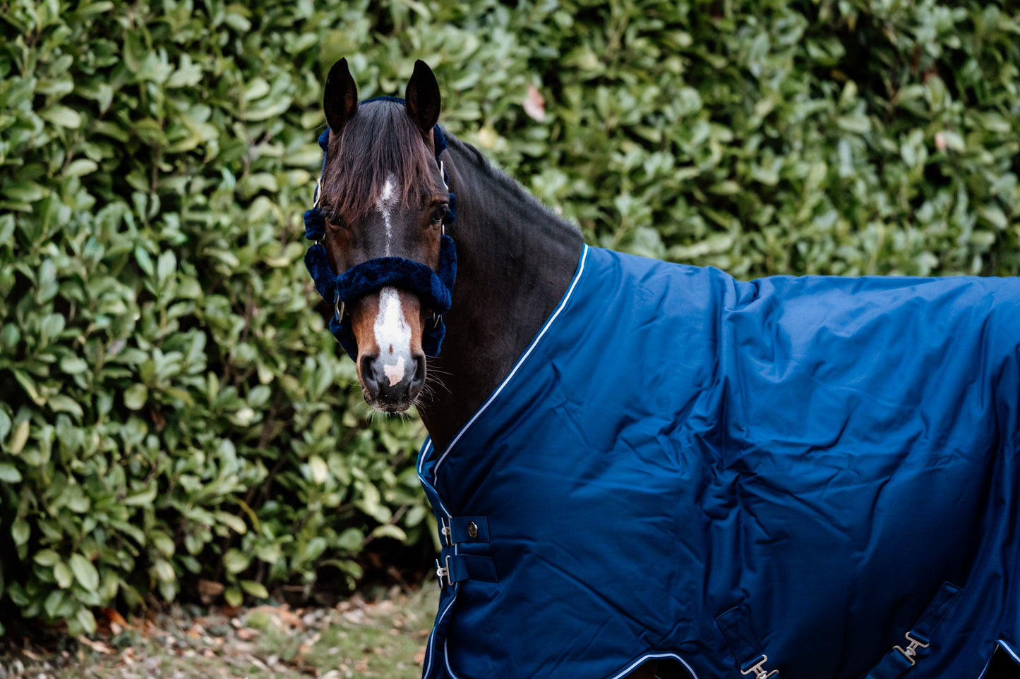 Guardian buitendeken 150 gram –  Blauw