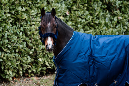 Guardian buitendeken 150 gram –  Blauw