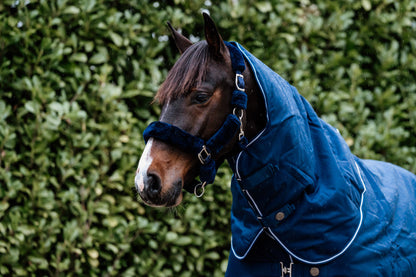 Guardian afneembaar buiten nekstuk – Blauw