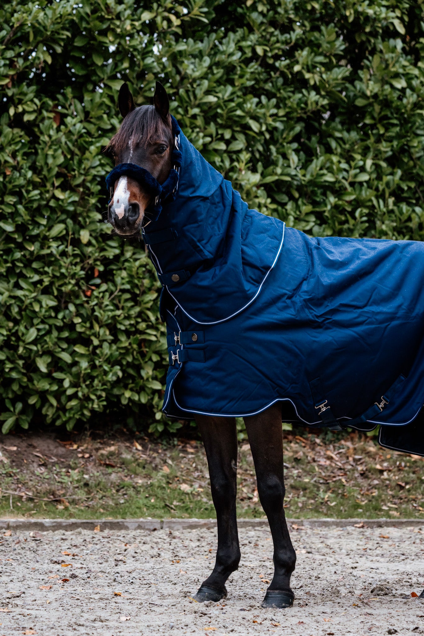 Guardian afneembaar buiten nekstuk – Blauw