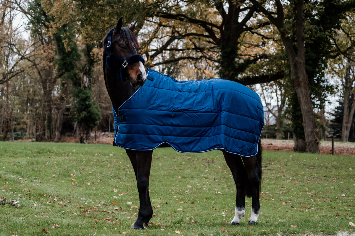 Guardian under rug 150 gram - Navy – Greenfield Selection