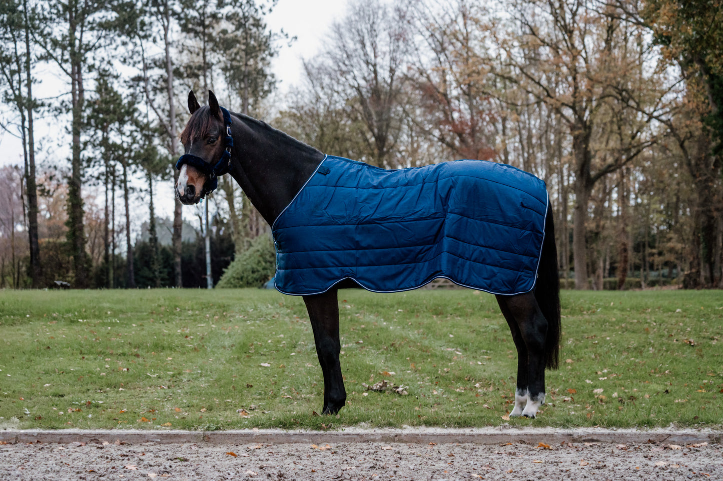 Guardian under rug 300 gram - Navy