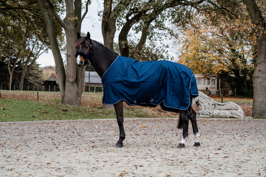 Guardian regendeken – Blauw