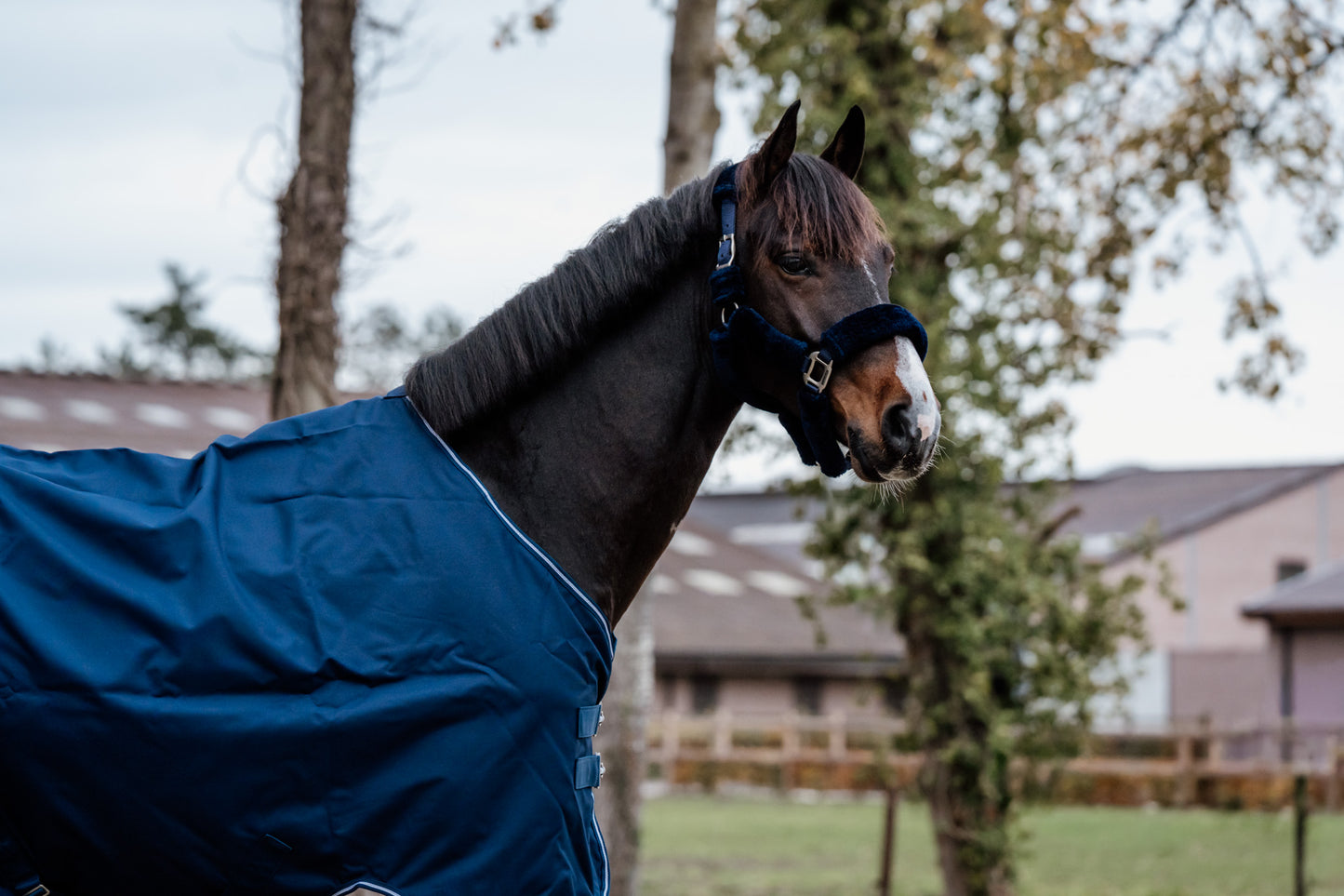 Guardian regendeken – Blauw