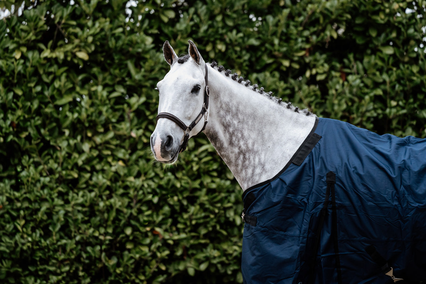 Buitendeken 100 gram - blauw 2.0 