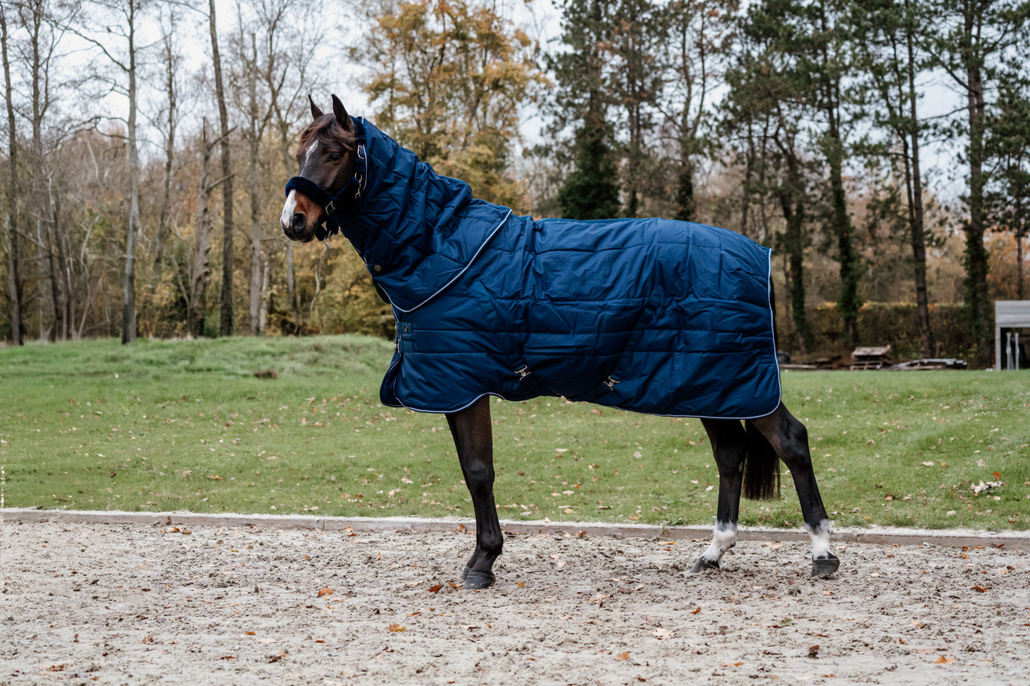 Guardian afneembaar stal nekstuk – Blauw