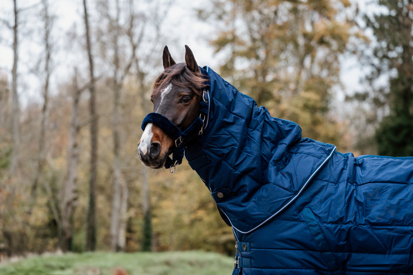 Guardian afneembaar stal nekstuk – Blauw