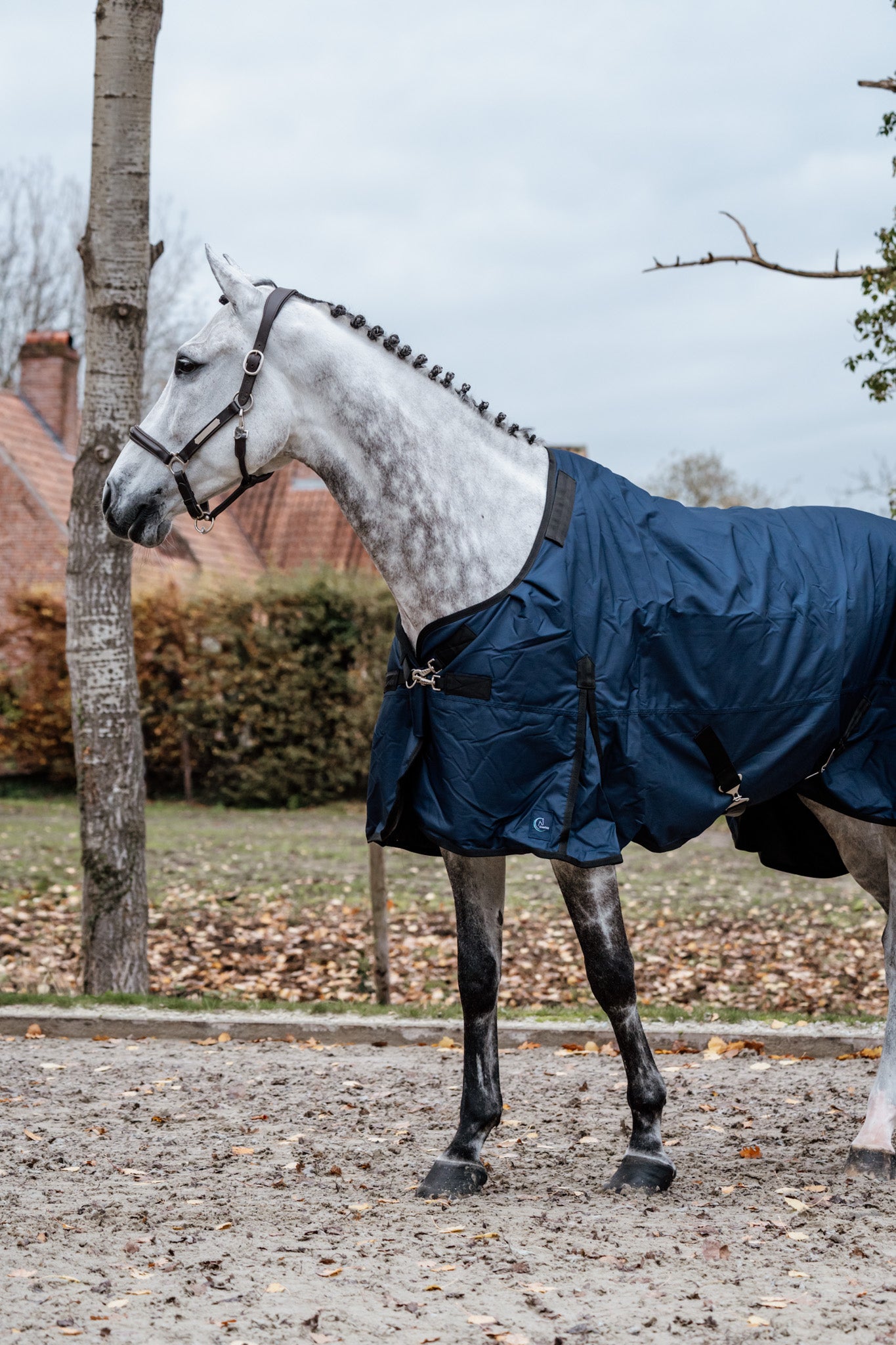 Buitendeken 100 gram - blauw 2.0 