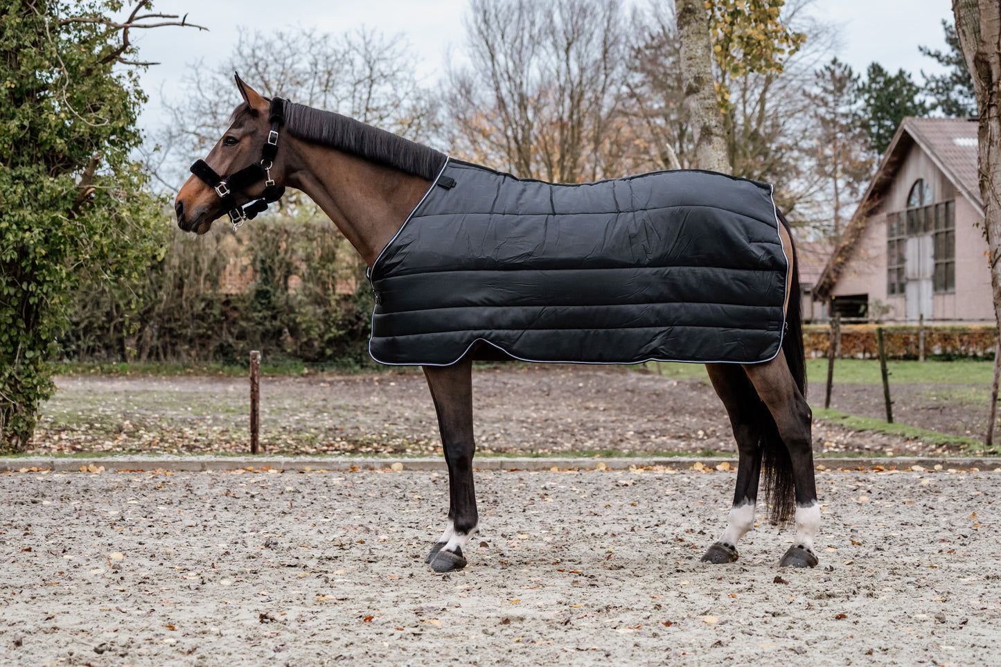 Guardian under rug 300 gram - Black