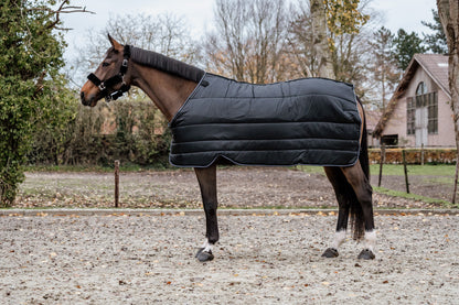 Guardian under rug 300 gram - Black