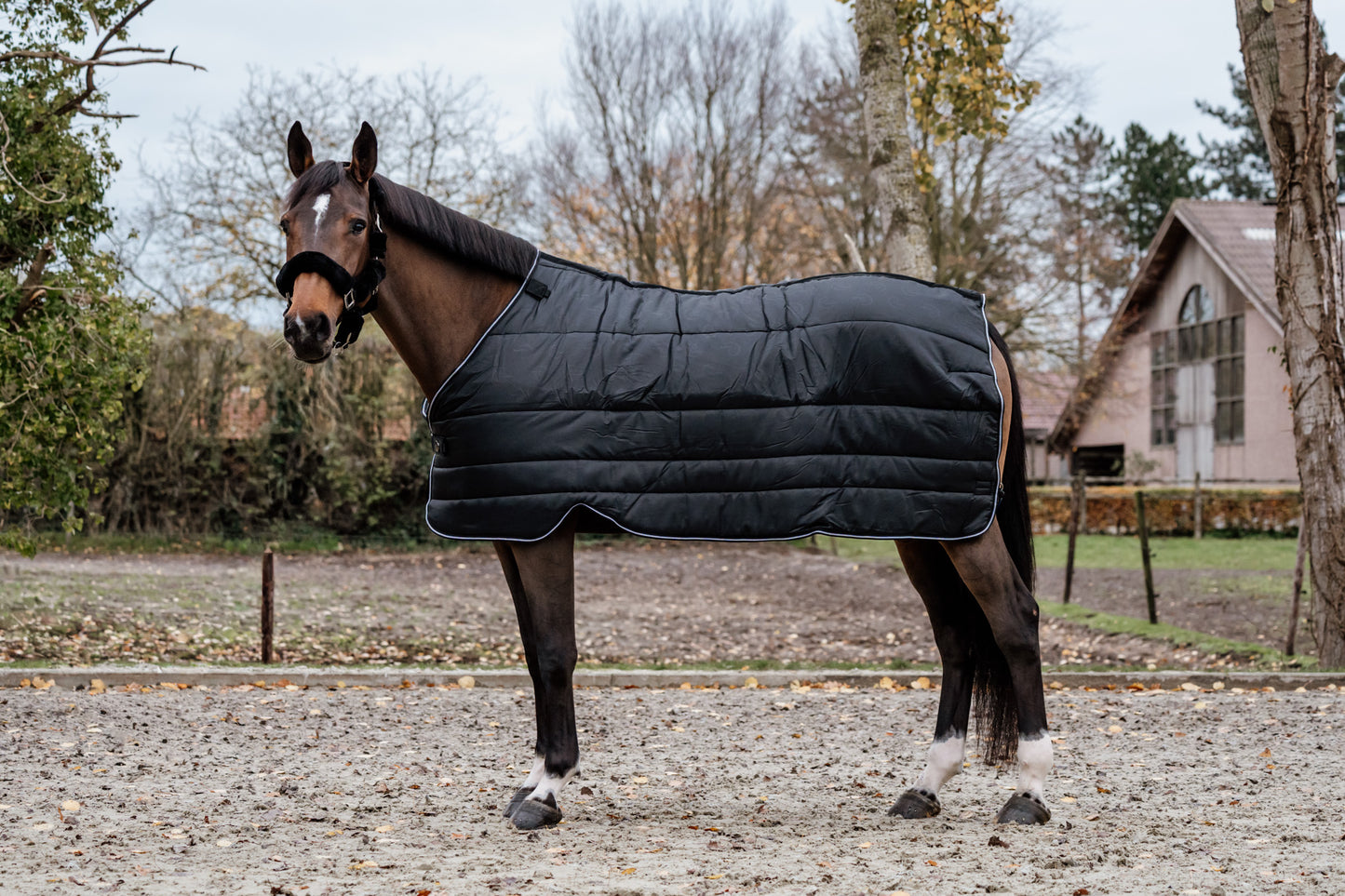 Guardian under rug 150 gram - Black