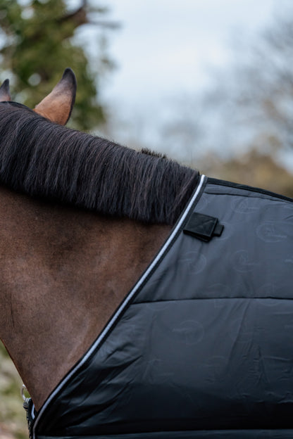 Guardian under rug 300 gram - Black