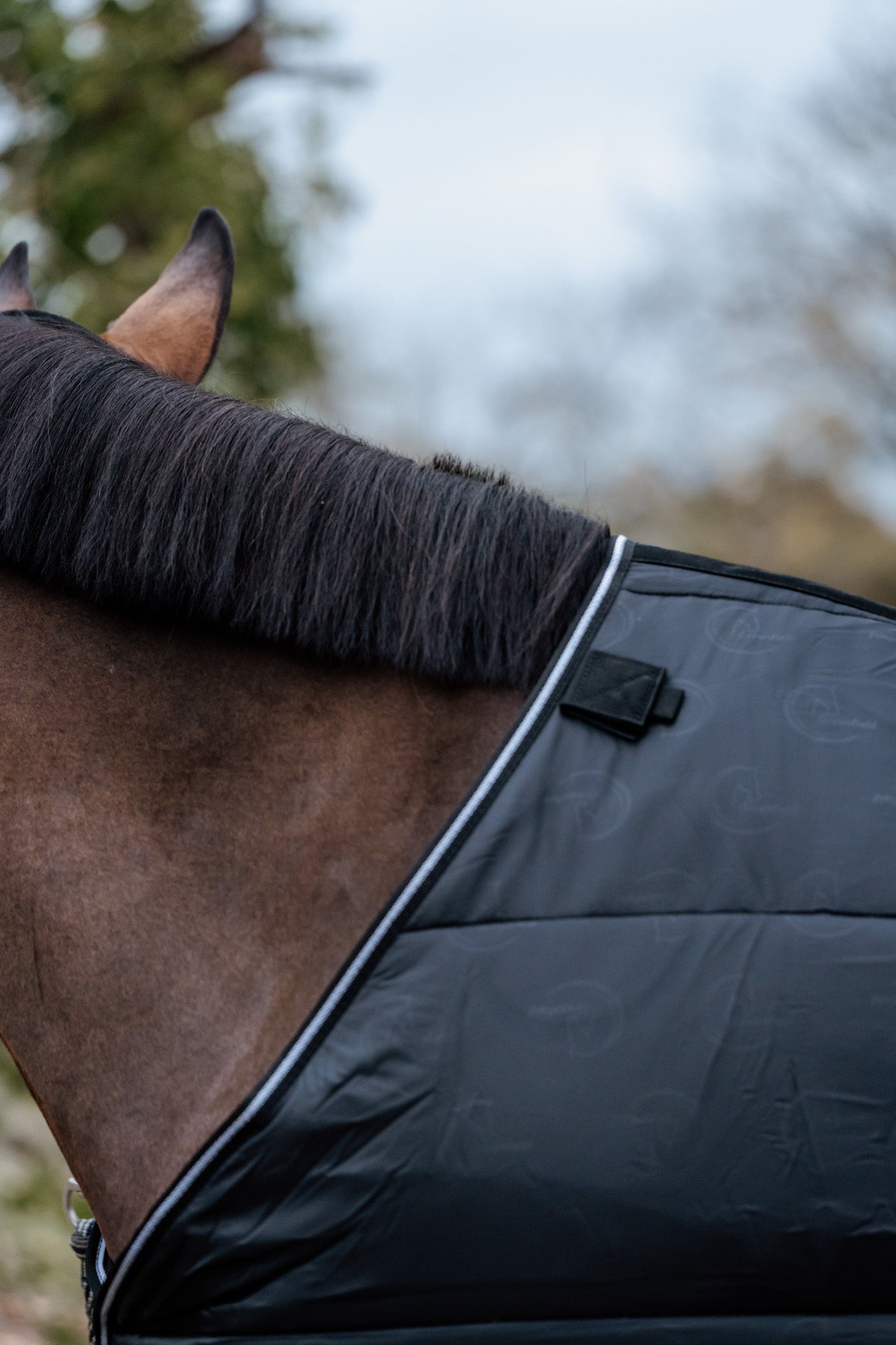 Guardian under rug 150 gram - Black