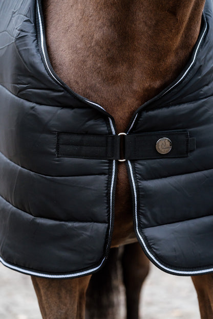 Guardian under rug 300 gram - Black