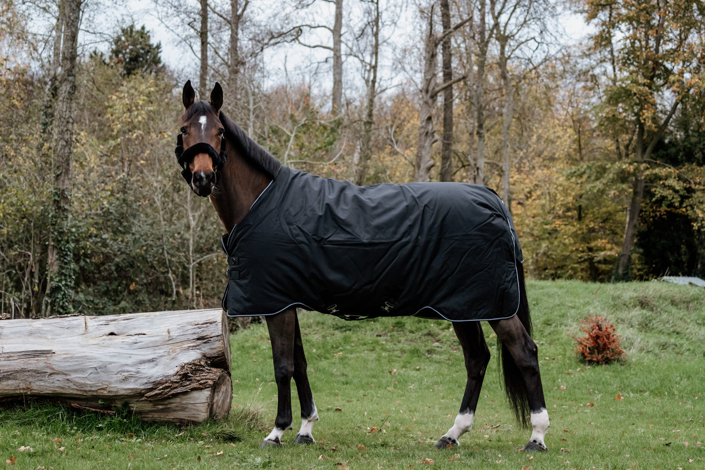 Guardian buitendeken 300 gram –  Zwart