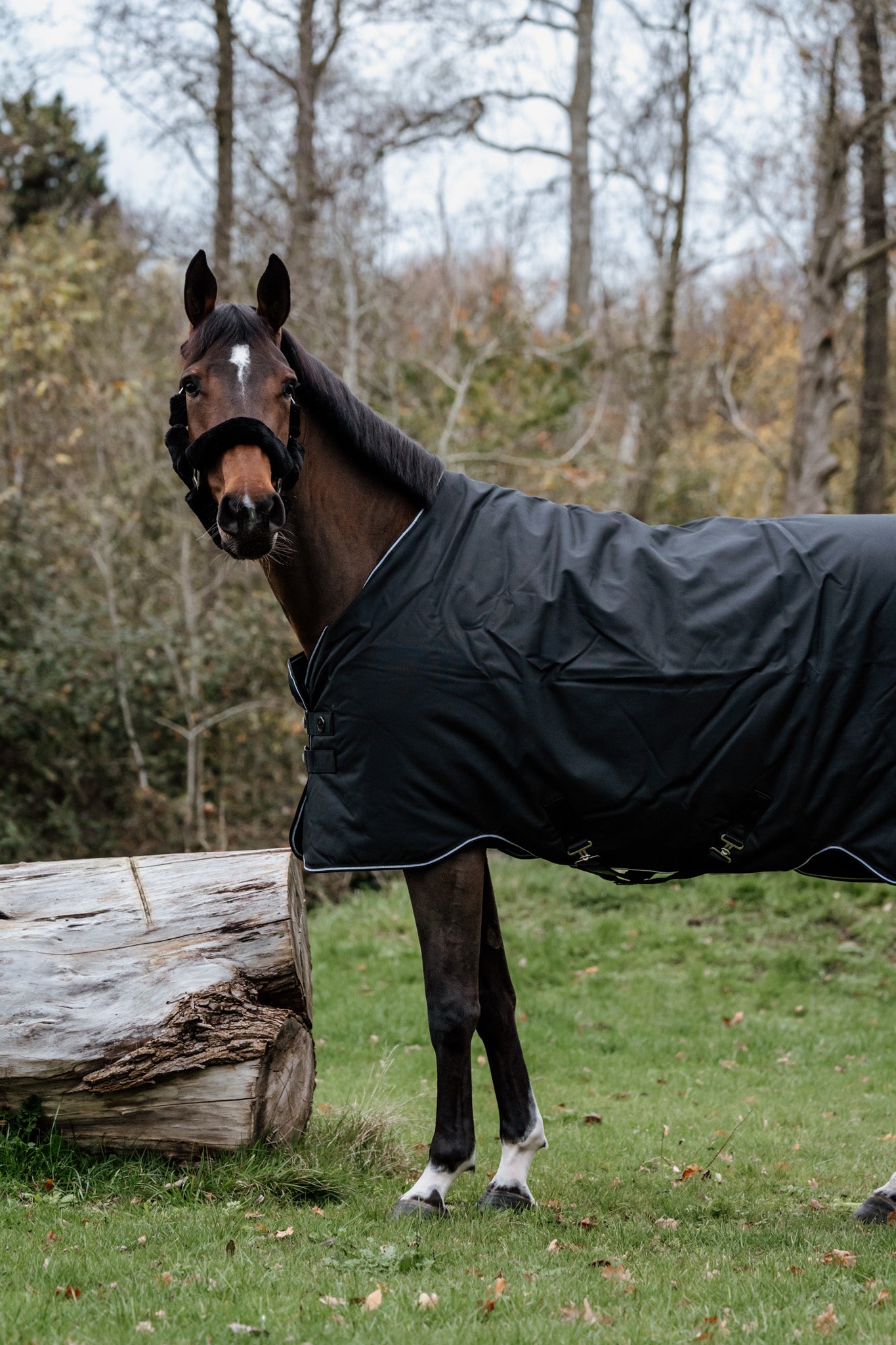 Guardian buitendeken 150 gram –  Zwart