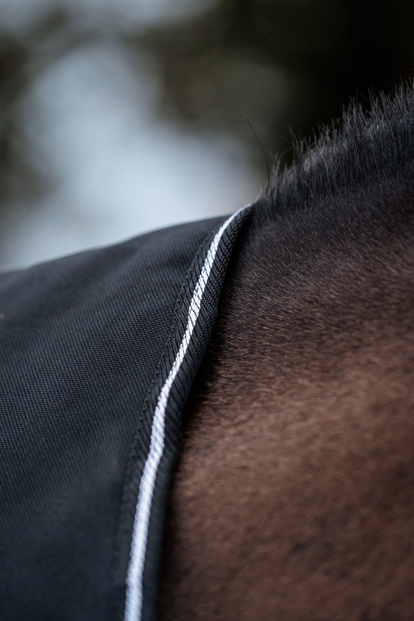 Guardian buitendeken 300 gram –  Zwart