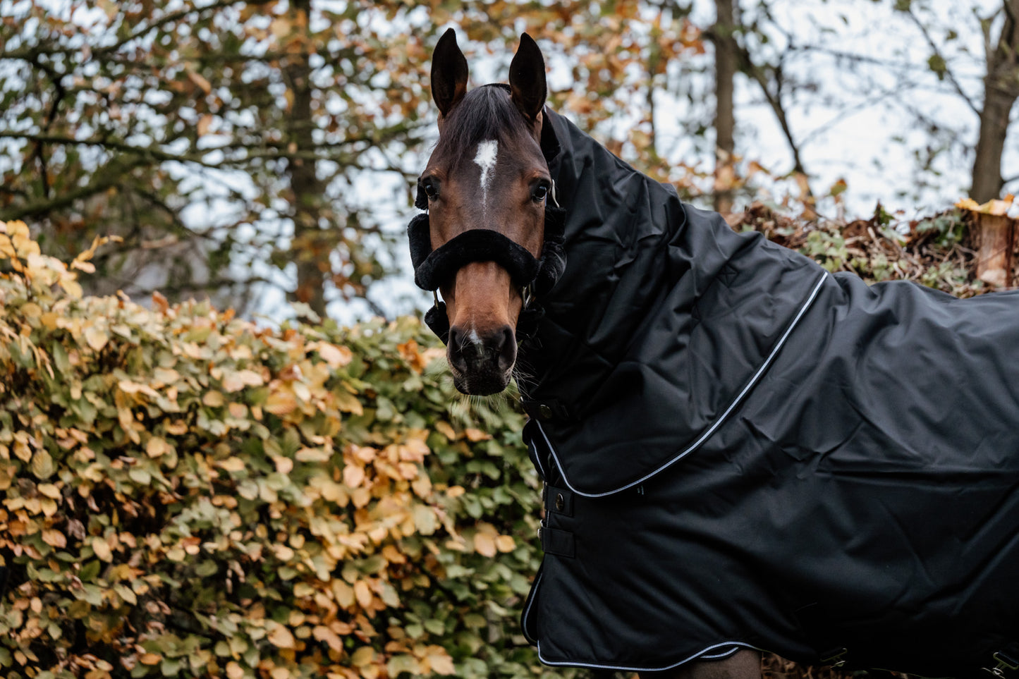 Guardian afneembaar buiten nekstuk – Zwart