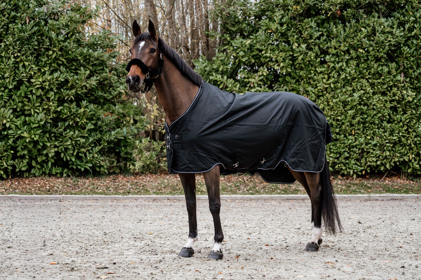 Guardian regendeken – Zwart