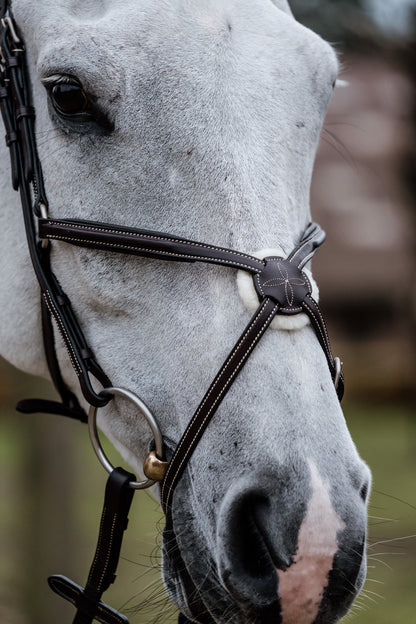 Bridon Mexico - Cuir de vachette