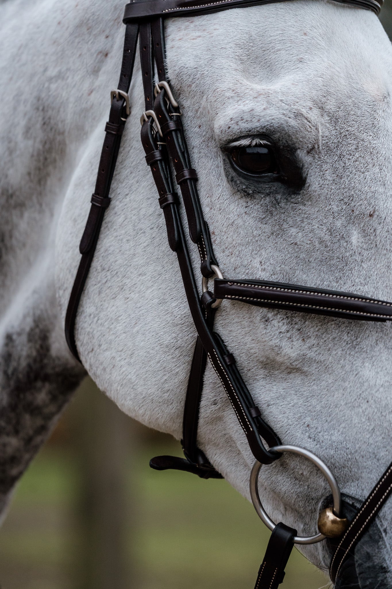 Bridon Mexico - Cuir de veau 