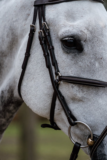 Bridon Mexico - Cuir de veau 