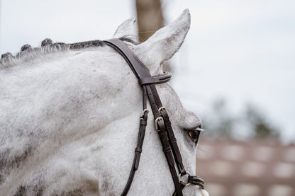 Bridon Mexico - Cuir de veau 