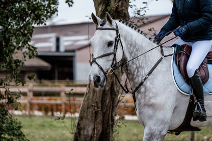 Bridon Mexico - Cuir de veau 