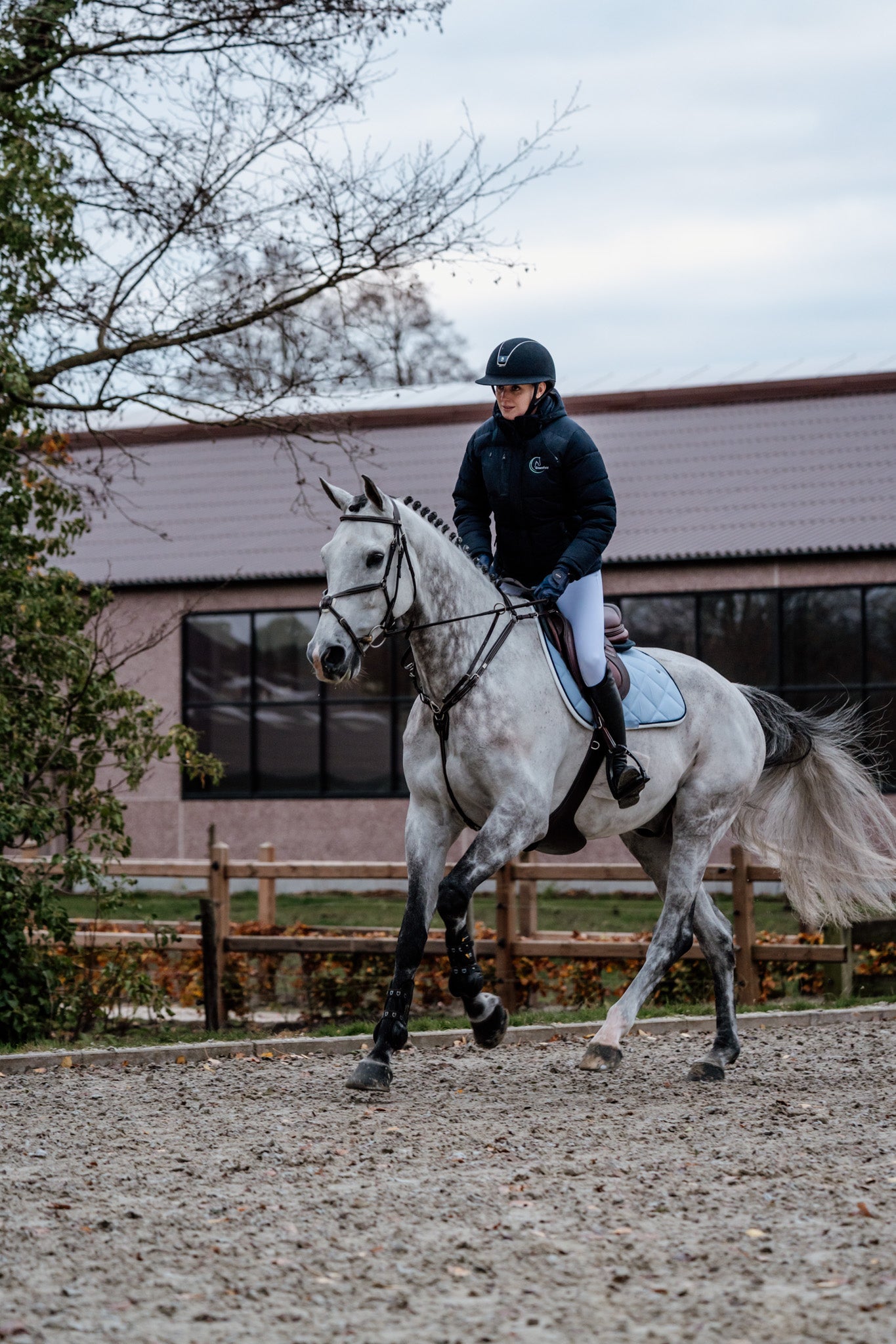 Bridon Mexico - Cuir de veau 