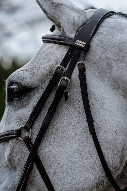 Bridon Mexico - Cuir de vachette