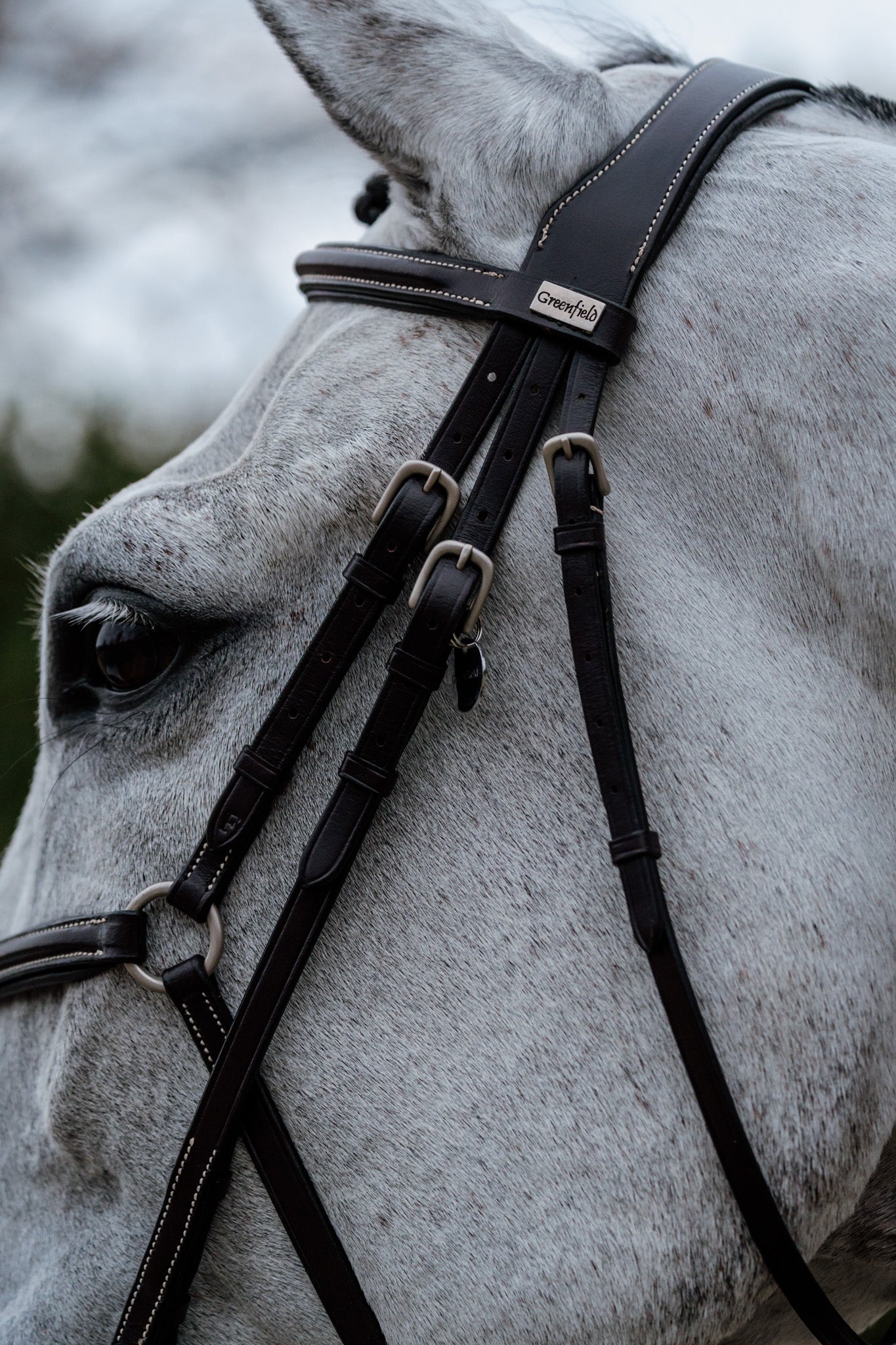 Bridon Mexico - Cuir de veau 