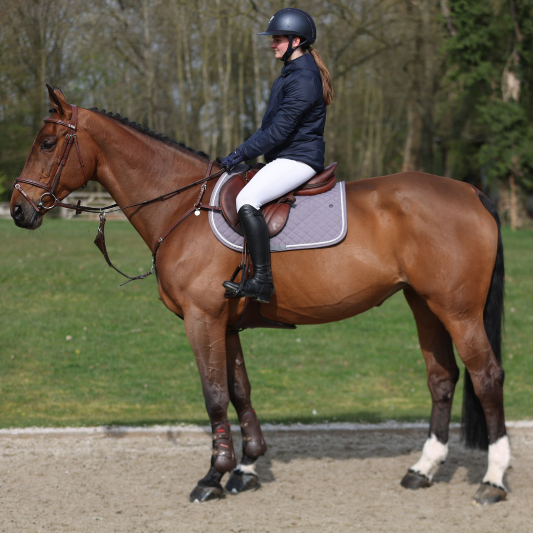 Saddle pad cookie - grey/grey-white/silvergrey