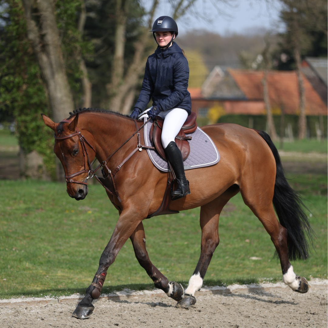 Saddle pad cookie - grey/grey-white/silvergrey