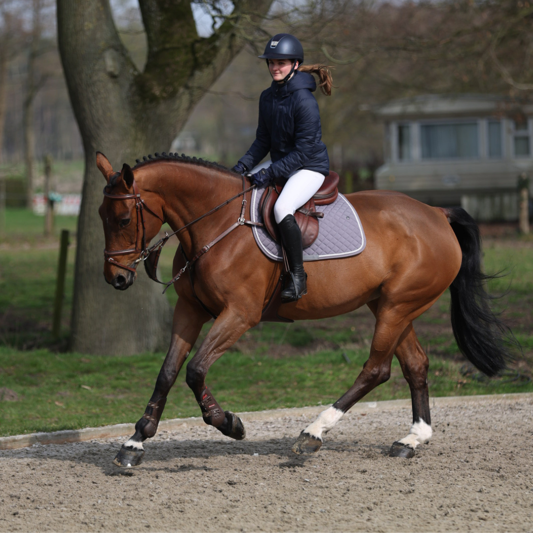 Saddle pad cookie - grey/grey-white/silvergrey