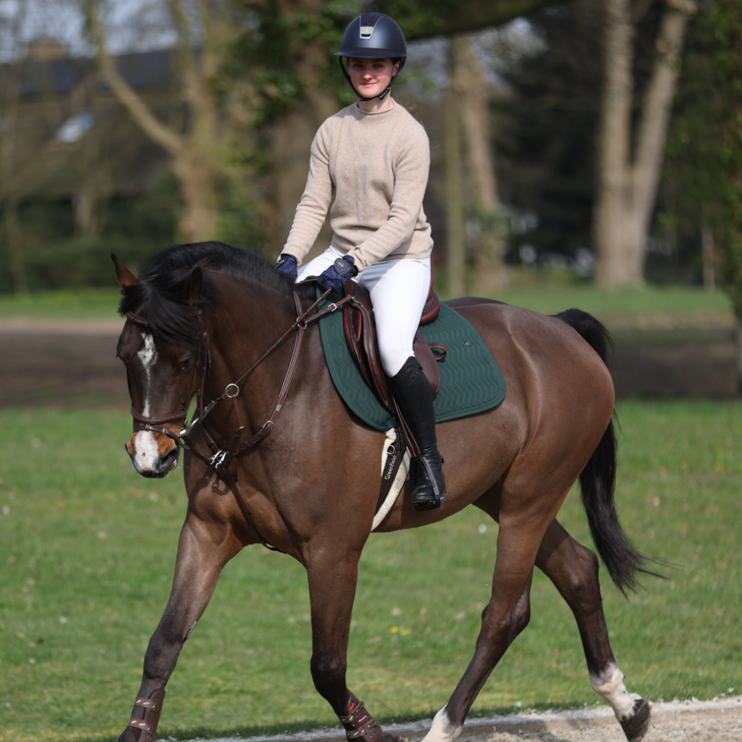 Saddle pad Arrow - green/green-green