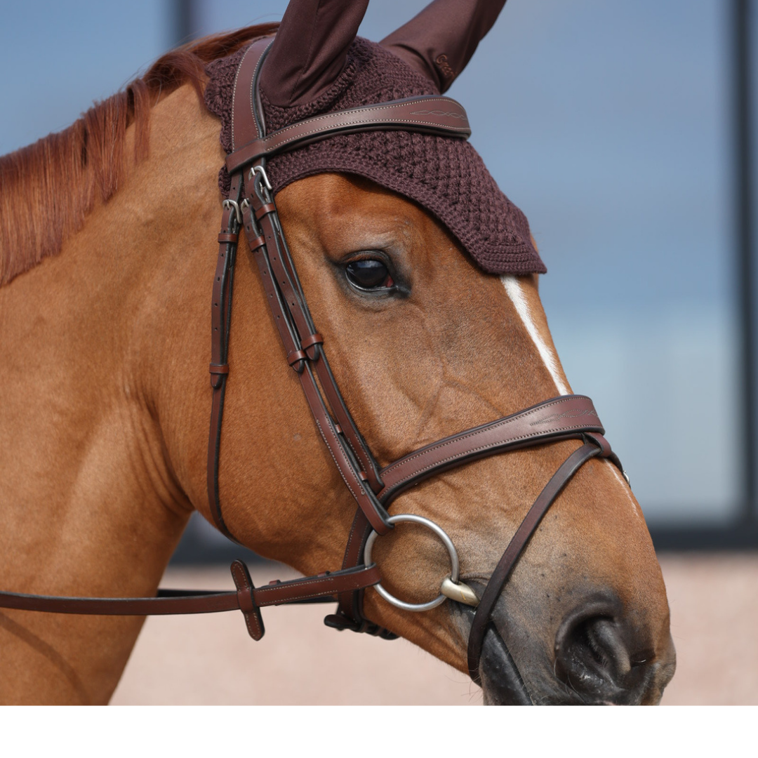 Geneva Bridle